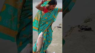 Big rohu fish catching in river village fishing tipsamptechniques fish catching videos shortvideo [upl. by Clementina986]