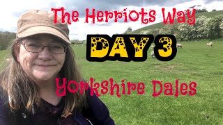 The Herriots Way Day 3 Keld to Grinton [upl. by Swithin]