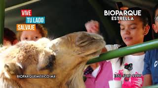 Pastelerías Esperanza te invita a vivir la aventura  Bioparque Estrella [upl. by Pell]