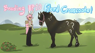 Wild Horse Islands  Breeding Ep 10 Fjord Crosscoats [upl. by Ripp937]