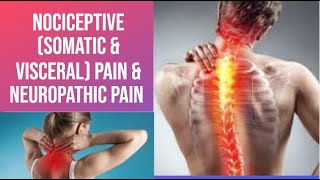 Nociceptive Somatic amp Visceral Pain amp Neuropathic Pain  PhysiotherapyKnowledge [upl. by Kallick]