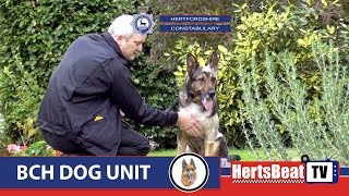 Update on Police Dog Finn 17102016 [upl. by Kerrill863]