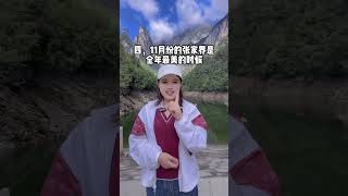 为什么要选择11月来张家界！张家界旅游攻略 张家界5天4晚旅游攻略 [upl. by Orel]