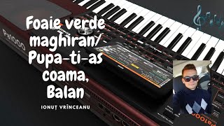 Foaie verde maghiranPupațiaș coama Bălan Cover Korg Pa1000 [upl. by Suollecram]