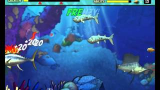 Feeding Frenzy 1 gameplay level 21 to 30 [upl. by Margaretha639]