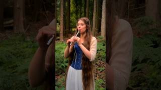 ‘The Lilting Banshee’  a traditional Irish jig ☘️🎶 tinwhistle shorts [upl. by Susi]