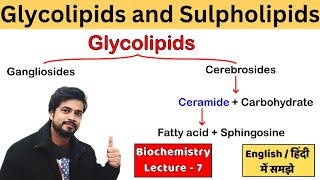 Glycolipids Gangliosides amp Cerebrosides amp Sulpholipid  Biochemistry Lecture in Hindi [upl. by Ingraham]