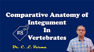 Comparative Anatomy of Integument in Vertebrates [upl. by Hgielah]