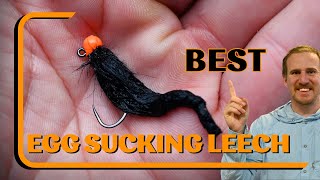 Revamp Your Egg Sucking Leech Fly Tying Tutorial with a Twist [upl. by Jerrold]