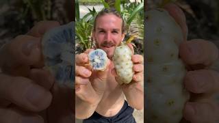 Top 5 Fruits To Feel Amazing [upl. by Llenrev880]