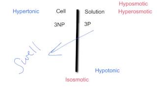 Tonicity amp Osmolarity [upl. by Megen127]