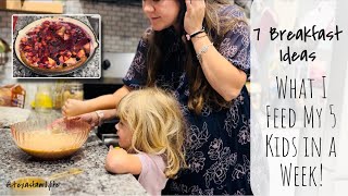 Feeding 5 Kids Breakfast for a Week in a Large Family momof5 breakfastforkids largefamilyvlog [upl. by Anaahs]