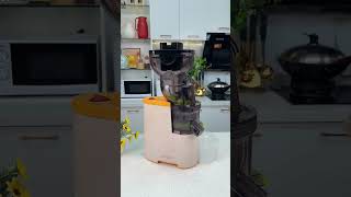 Best Grape Juice Machine  Get Fresh Juice at Home juicemachine viral shorts [upl. by Isdnil956]