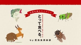 【昆虫食倶楽部】とって食べる。第一回 セミをとって食べる。 [upl. by Macey]