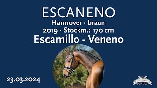 Escaneno Hengst v Escamillo  Veneno [upl. by Elleined200]