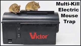 The Victor MultiKill Electric Mousetrap  Full Review Mousetrap Monday [upl. by Lucian651]