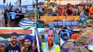 गेलो रेवदंडा फिश मार्केटला l revdanda fishmarketलिलावkokon [upl. by Nwahsud]