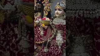 Mera Lal Gopal Meri rajdularitrending राधेराधेस्टूडियो24 radheshayam [upl. by Janice760]