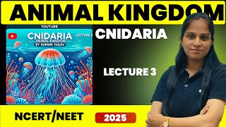 Cnidaria  Animal kingdom  Lecture 3  Suman Yadav [upl. by Leahcin]