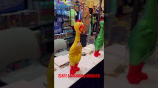 Huge screaming chicken chicken screamingchicken scream [upl. by Akaenahs]