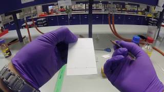 Thin Layer Chromatography [upl. by Lena]