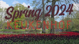 Keukenhof Gardens Lisse 2024 [upl. by Kirstyn389]