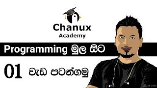 Sinhala Programming Basics lesson 01 [upl. by Adym657]