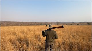 Walking Safari im Krüger Nationalpark  South Africa Travel Vlog [upl. by Rorke347]