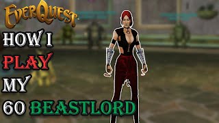 How I Play My Level 60 Beastlord  Everquest Guide [upl. by Kirven233]