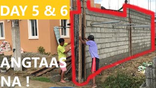 CAMELLA HOMES RENOVATION amp EXPANSION  ELLA HOUSE Part 4 [upl. by Nytsuj]