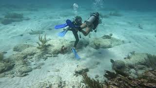 Puerto Morelos Mexico reef dive [upl. by Nolram]