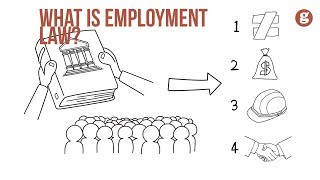 What is Employment Law [upl. by Rogozen]