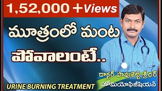 మూత్రంలో మంట తగ్గాలంటే  Urine Burning treatment in Telugu  Urine Burning Precautions [upl. by Adnamra636]