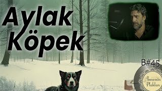 Aylak Köpek 🎙️ Videocast 45 [upl. by Marcell]