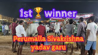 14 First 🏆winner perumalla sivakrishna yadav garu kalluru Subjuniour Bulls  in koppuravuru [upl. by Eicnarf]