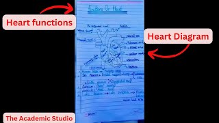 Human heart Function  Chapter Circulation Video  2 [upl. by Ney]