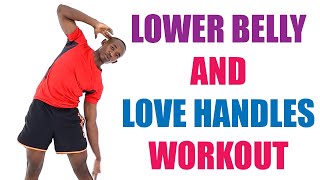 Lower Belly and Love Handles Workout 20 Minute Standing Midsection Workout [upl. by Airdnal]