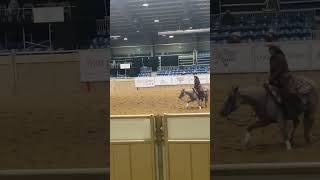 Breeders Invitational with CrazyHorseCowGirl5 ncha [upl. by Meagher]