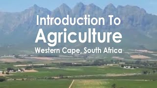 Introduction To Agriculture Western Cape South Africa [upl. by Heber]