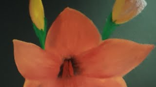 Amaryllis Flower Painting [upl. by Assilam]