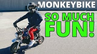 MORSOMSTE SYKKELEN JEG HAR KJØRT  Monkey Bike Wheelies  Norsk Motovlog [upl. by Wilma]