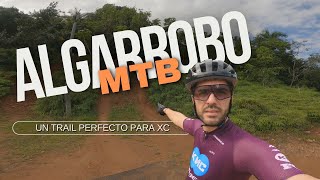 Algarrobo MTB  Un Trail Perfecto para XC en Puerto Rico [upl. by Menell]