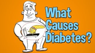 What causes diabetes high blood sugar and type 2 diabetes [upl. by Abihsot241]