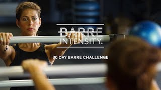 30 Day Barre Challenge [upl. by Brathwaite]