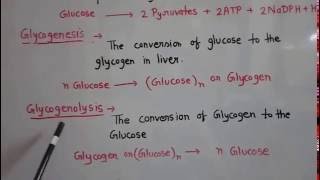 Metabolism of carbohydrate part 1 [upl. by Etrem]