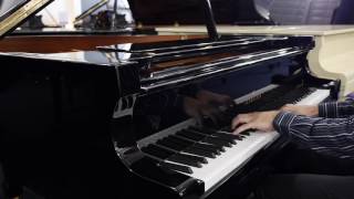 BECHSTEIN A 175  PIANOS MELBOURNE [upl. by Heather]