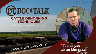 DocTalk  Cattle Dehorning Techniques 720p [upl. by Yorgen]