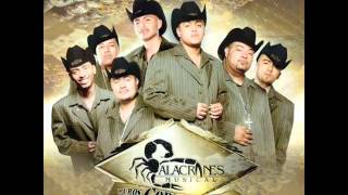 Alacranes Musical 500 Balazos [upl. by Silecara]