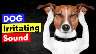 Dog Irritating Sound  Sounds that Dogs Hate to Hear [upl. by Annabelle]