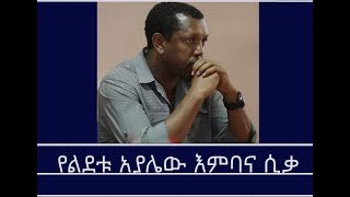 Menizem media የልደቱ አያሌው እምባና ሲቃ Excerpt from a discussion between Reeyot Alemu and Lidetu Ayalew [upl. by Kurys]